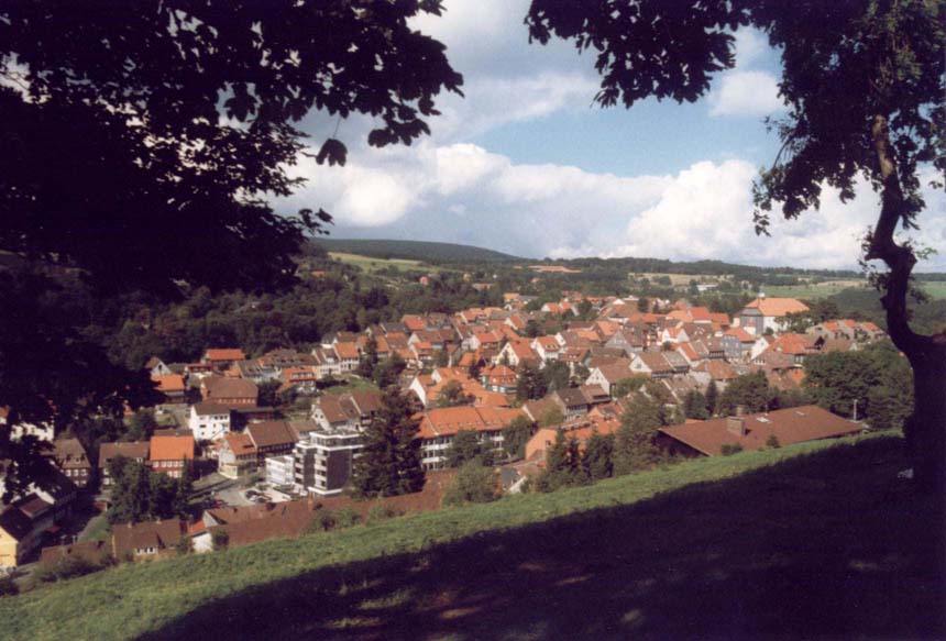 ortsansicht-1